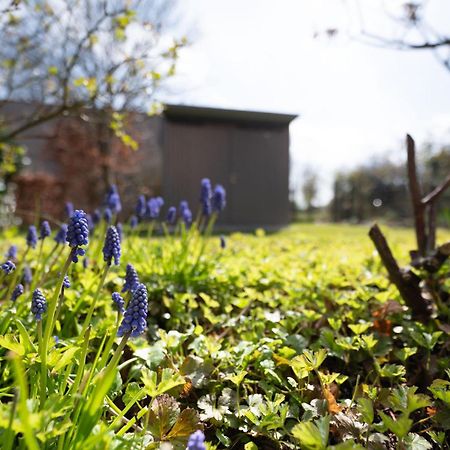 Auszeit Wormshöft Hasselberg  Kültér fotó